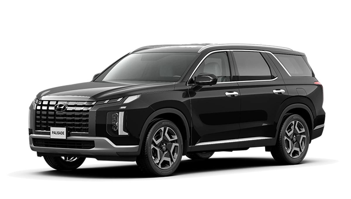 Hyundai Palisade Đồng Tháp
